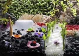 Floriada 2012 - światowa wystawa ogrodnicza