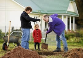 Drzewka owocowe sadzimy na takiej samej głębokości, na jakiej rosły w szkółce lub pojemniku, w którym zostały zakupione.
