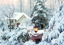 Zima pełna zasadzek