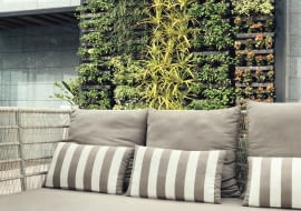 Pionowe ogrody do domu i biura