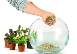 Na dnie naczynia układamy warstwę drenażu, np. z keramzytu lub żwiru. Powinna mieć grubość około 3 cm.