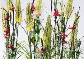 3.03.2003 ZDJECIA DLA PISMA BUKIET KOMPOZYCJE FLORYSTYCZNE STYLIZACJA ELA ROSTEK I AGNIESZKA SOKOLOWSKA FOT. PAWEL SLOMCZYNSKI / AGENCJA GAZETA