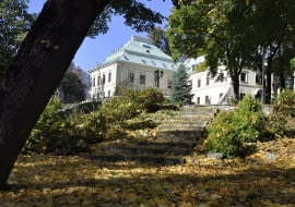 Jak zadbać o ogród przed zimą ?