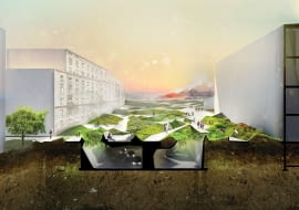 Biocover - pomysł na nową tkankę zieleni dla miast