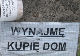dom, wynajem