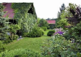 SLOWA KLUCZOWE: beata tokarz