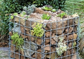 Gabione bef´llen und bepflanzen SLOWA KLUCZOWE: Bepflanzung Beratung Farbe Flechtkorb Fotografie Gabione Korb Pflanze Portrait anpflanzen auff´llen bepflanzen einpflanzen vertikal auff´llen Hochformat