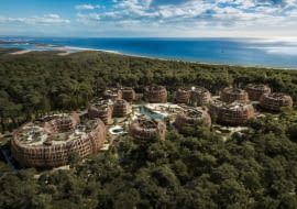 Silva Maris na Wyspie Sobieszewskiej