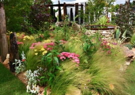 Ta prosta rabata z trawy ostnicy i krwawników nie wymaga uciążliwej opieki, a dynamizuje kompozycję ogródka.