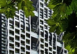 azja, waf, mieszkaniówka, zielona architektura, wieżowiec, bangkok