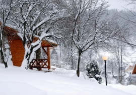 OGRÓD JADWIGI I TADEUSZA KUTÓW to ogród o charakterze naturalistycznym, harmonijne "połączenie natury i kultury" - nie ma tu ogrodzenia, a rośliny idealnie wpisują się w krajobraz.