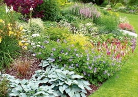 PONOWNA PUBLIKACJA PO UZGODNIENIU Z REDAKCJA !!!ANGLIA ELMSTEAD MARKET OGROD WLASCICIELKA OGRODU PANI BETH CHATTO NAGRODZONA 10 ZLOTYMI MEDALAMI NA WYSTAWACH CHELSEA FLOWER SHOW ORAZ MEDALEM VICTORII - NAJWYZSZE WYROZNIENIEM ROYAL HORTICULTURAL SOCIETY NZ OGROD ROSLINY KWIATY - FUNKIA , RDEST POKREWNY , BODZISZEKFOT. KATARZYNA BELLINGHAMPUBLIKACJA OGRODY NR 2 (106) - 2 2008