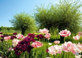 W TYM OGRODZIE ZRĘCZNIE POMIESZANO wspomnienie tradycyjnych mazowieckich krajobrazów ze sporą dawką nowoczesności.