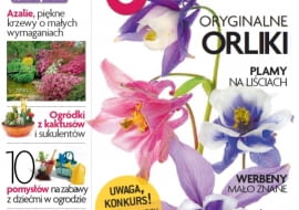 Miesięcznik Magnolia nr 06/2013