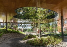 Biophilic design - Centrum Maggie's w Oldham