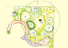 1. bukszpan wiecznie zielony, 2. żurawka drobna 'Palace Purple,' 3. cyprysik japoński 'Crippsii', 4. bergenia Schmidta, 5. konwalia majowa, 6. jaśminowiec 'Virginal', 7. cyprysik japoński 'Boulevard', 8. forsycja pośrednia 'Goldzauber', 9. mikrobiota syberyjska, 10. czereśnia, 11. pigwowiec pośredni 'Crimson and Gold,' 12. suchodrzew chiński , 13. krzewuszka cudowna, 14. tawuła japońska 'Anthony Waterer', 15. świerk pospolity 'Nidiformis' , 16. jałowiec pośredni 'Gold Star,' 17. bodziszek czerwony , 18. dzwonek Poszarskiego.