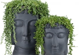 Doniczka twarz, doniczka głowa - oryginalna dekoracja wnętrz