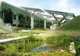 02.07.2009 WARSZAWA POWISLE BUW DACH OGROD