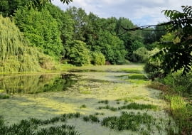 Ogród dendrologiczny w Przelewicach