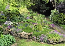 Petit jardin de rocaille au printemps, bordE d'un muret de pierres sËches non appareillEes. Ajuga, Corydalis, aubriËtes, muscaris, Iberis, jacinthes sauvages. SLOWA KLUCZOWE: Beetbegrenzung Corydalis felsig Fr´hling Fr´hlingsgarten Garten Glockenblume Hyazinthe Lerchensporn Stein Steingarten Trockenstein Trockensteinmauer Ziergarten