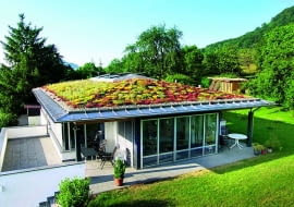 zieleń na dachu stromym