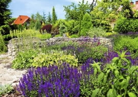 10.06.2010 BUSKO ZDROJ , OGROD DLA MIESIECZNIKA OGRODY , WLASCICIELE MAREK I ANNA MASLOWSKI . FOT. WOJCIECH SURDZIEL / AGENCJA GAZETA SLOWA KLUCZOWE: ROSLINY OGRODNICTWO OGROD