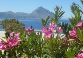 Ewa Czaczkowska-Sold sycylia