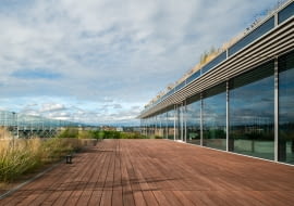 Bambusowy hit sezonu Dasso CTECH