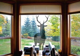 Gotowe folie na okno to nie tylko ciekawa dekoracja. Półprzezroczyste, tak zwane szronione, dodatkowo uchronią nas przed ciekawskimi spojrzeniami z zewnątrz, przepuszczając zarazem światło. <BR />OKNA - OZDOBY. Jeleń, 48 x 116 cm, 89 zł, oklejgo.pl