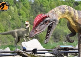 Park jurajski. Bałtów - parki na majówkę