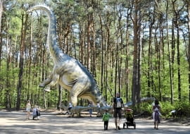 Leśny Park Kultury i Wypoczynku Myślęcinek, Bydgoszcz