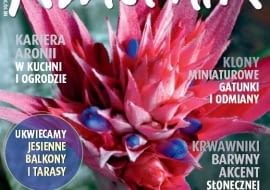 Miesięcznik Kwietnik nr 10/2011