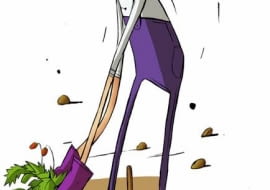 sierpniowe prace w ogrodzie