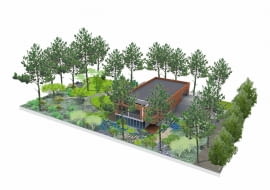 Projekt ogrodu na leśnej działce