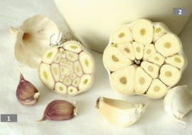 ROSLINY PRZYPRAWY CZOSNEK ALLIUM FOT. JAROSLAW PRZYBYL PUBLIKACJA OGRODY NR 4 (96) - 4 2007 SLOWA KLUCZOWE: ROSLINY KWIATY ZDJ?CIE DO WK?ADKI: PUBLIKACJA OGRODY NR 4 (96) - CZASOPISMA