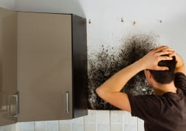 Jak usunąć zawilgocenia i grzyb?