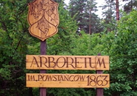 Arboretum w Kopnej Górz