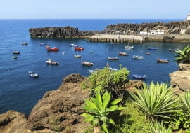 Madera nazywana jest Wyspą Wiecznej Wiosny. Na zdjęciu: znajdujące się u wybrzeża skały wulkaniczne porośnięte różnymi gatunkami dracen.