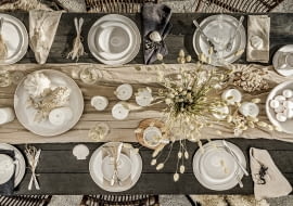 Kolekcja Shell Fyrklovern