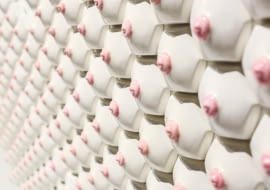 płytki, ceramiczne płytki, piersi, kobiece piersi, nicole nadeau