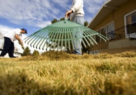 Pielęgnacja trawnika po zimie.