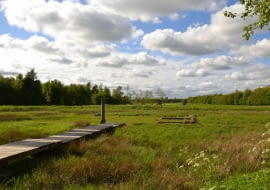 Budowa domu na działce rolnej, czy jest możliwa?