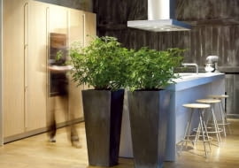 rośliny kwiaty aranżacja wnętrze dekoracje