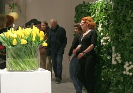 Wystwa tulipanów w Wilanowie