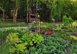 Górny taras położony w półcieniu zajęły rozmaite paprocie, miodunki i funkie.