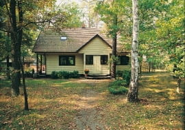 kanadyjczyk po 20 latach