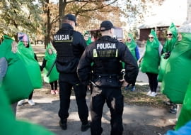 Żywopłot