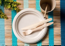 Talerz z trzciny cukrowej Natural