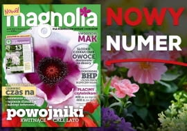 Magazyn Magnolia