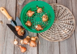 H>S3G]?-1i\%.x@!1ldI